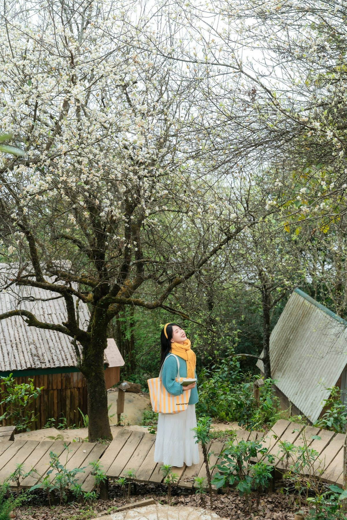 Các tour thường bao gồm xe đưa đón, lưu trú tại homestay, ăn uống theo chương trình và hướng dẫn viên. Du khách sẽ được tham quan những điểm nổi tiếng như sống lưng khủng long, đỉnh gió, thảo nguyên Tà Xùa, kết hợp săn mây và ngắm mùa hoa sơn tra nở trắng núi rừng.