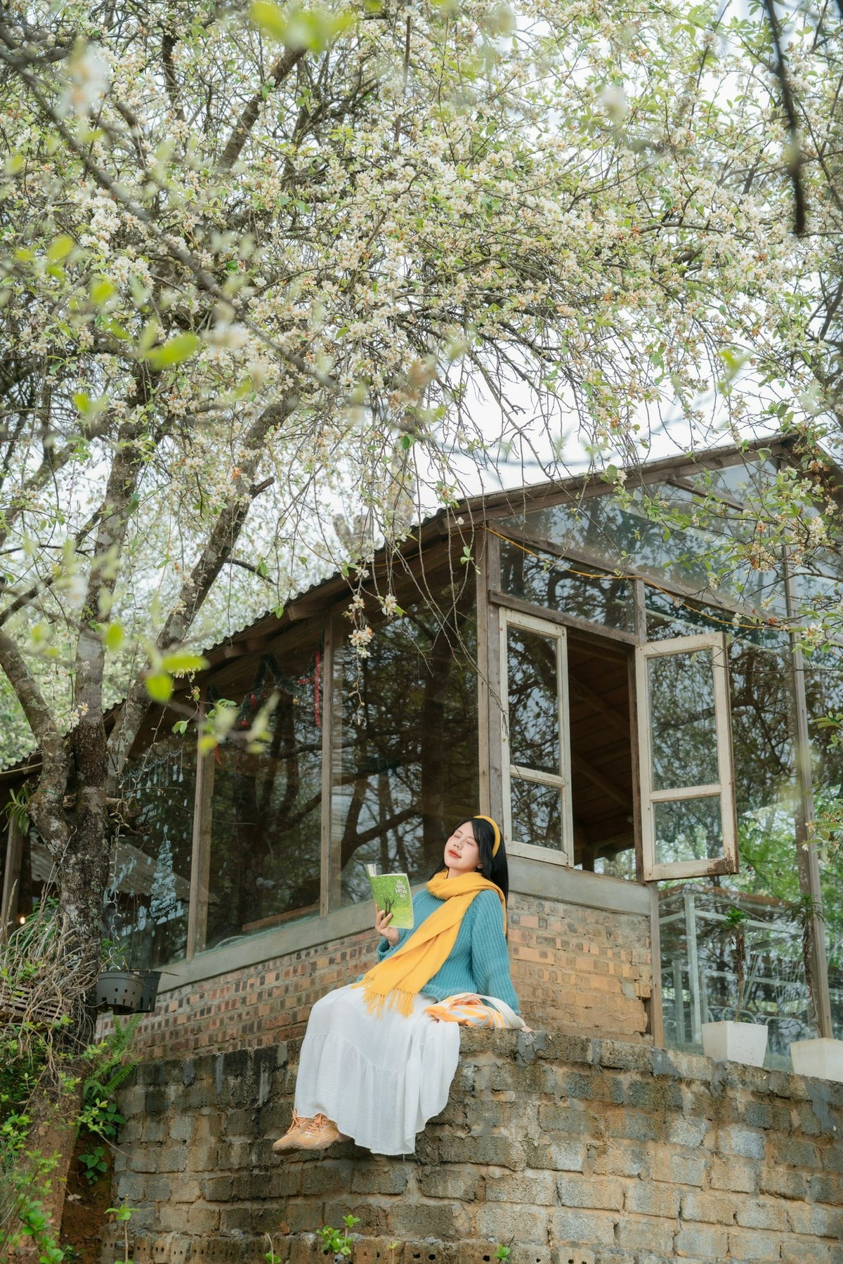 Không chỉ thu hút du khách đi tự túc, Tà Xùa mùa hoa sơn tra còn trở thành điểm đến được nhiều công ty lữ hành khai thác tour trải nghiệm. Theo khảo sát từ các đơn vị du lịch, các tour khám phá Tà Xùa hiện phổ biến với lịch trình 2 ngày 1 đêm khởi hành từ Hà Nội, mức giá dao động khoảng 1,5 – 2,3 triệu đồng/người, tùy thời điểm và dịch vụ đi kèm.