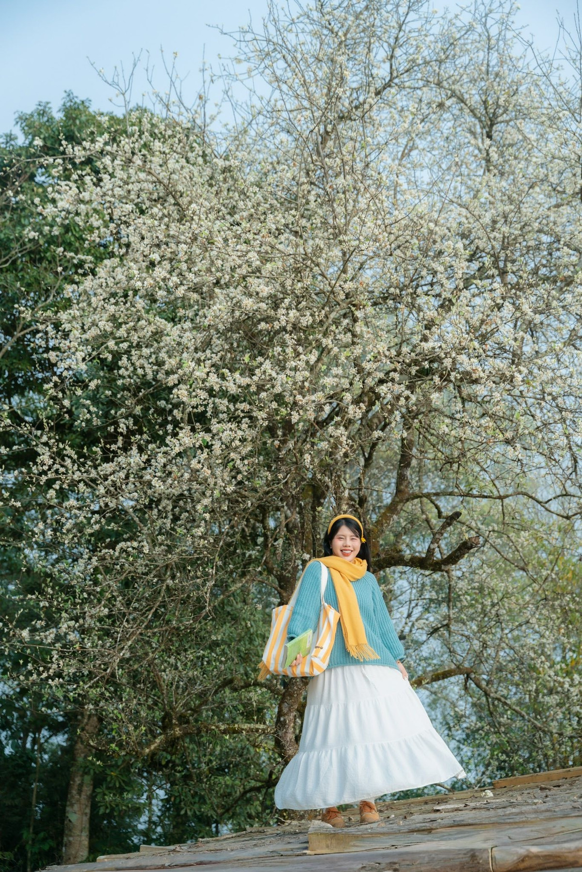 Vào những ngày trời quang, ánh nắng nhẹ chiếu xuống các triền núi khiến sắc trắng của hoa càng trở nên nổi bật. Những tán hoa bung xòe như những đám mây nhỏ đậu trên cành, khiến cả không gian Tà Xùa trở nên mềm mại và thơ mộng.