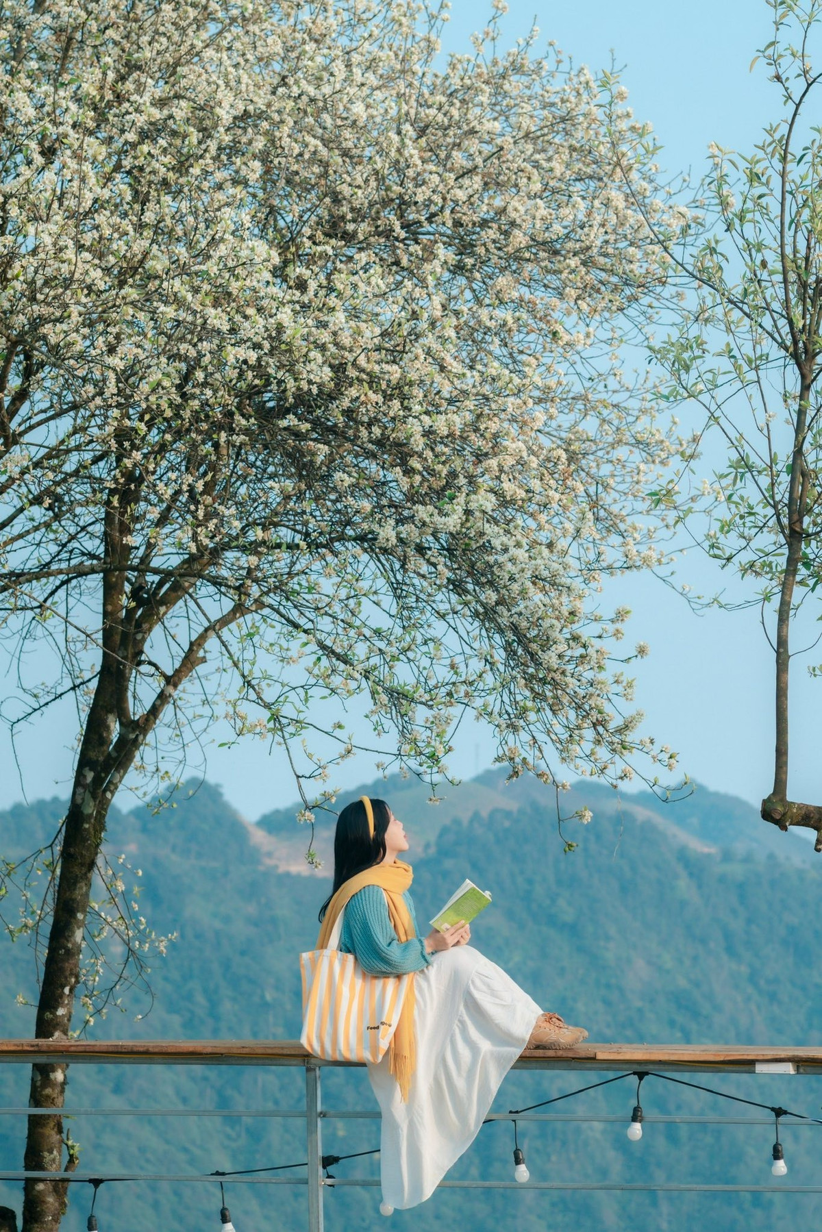 Dọc theo những con đường quanh co dẫn vào bản làng, du khách dễ dàng bắt gặp những cây sơn tra đang vào mùa đẹp nhất. Những chùm hoa trắng rung rinh trong gió, nổi bật giữa nền trời xanh và sắc hồng phai của những cành đào cuối mùa, tạo nên bức tranh thiên nhiên vừa trong trẻo vừa lãng mạn.