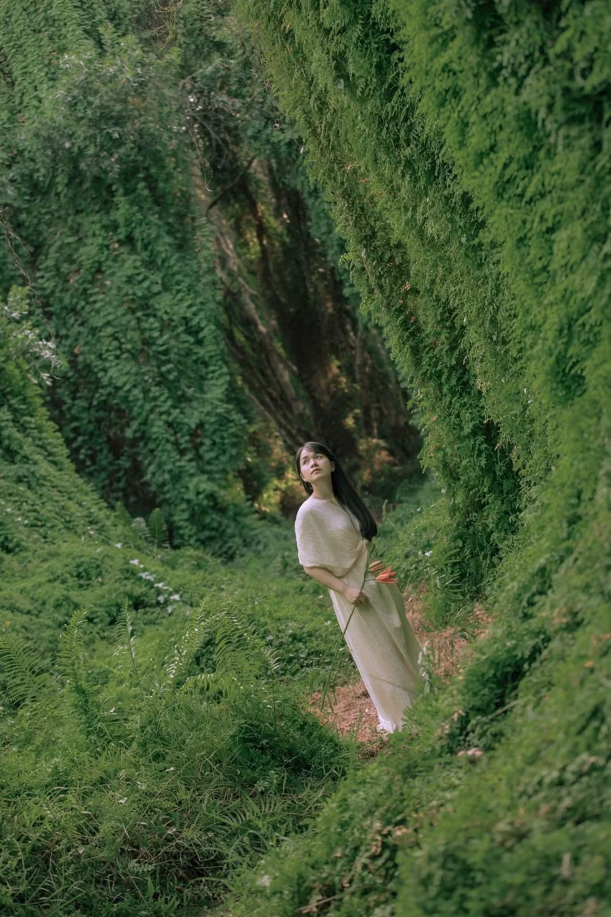 Lối vào khu rừng với những thân cây cổ thụ ngã đổ, phủ kín rêu xanh trở thành “background” được nhiều du khách yêu thích. Ảnh Huy