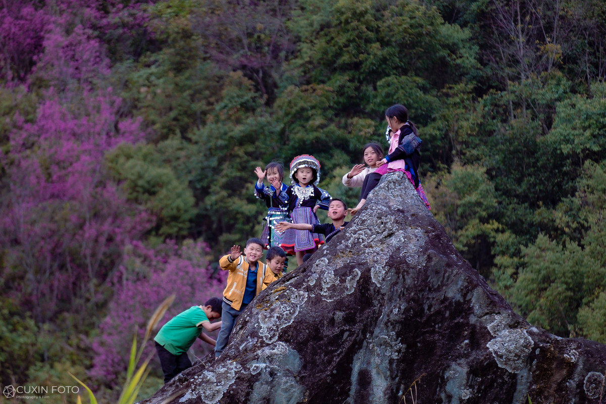 Bên cạnh đó, du khách cần tìm hiểu kỹ thông tin về vị trí hoa nở và thời gian trước khi lên đường, tránh phụ thuộc hoàn toàn vào hình ảnh trên mạng xã hội. Thời tiết thay đổi liên tục có thể khiến cảnh sắc khác xa so với kỳ vọng nếu không chọn đúng thời điểm. Ảnh Phạm Xuân Quý