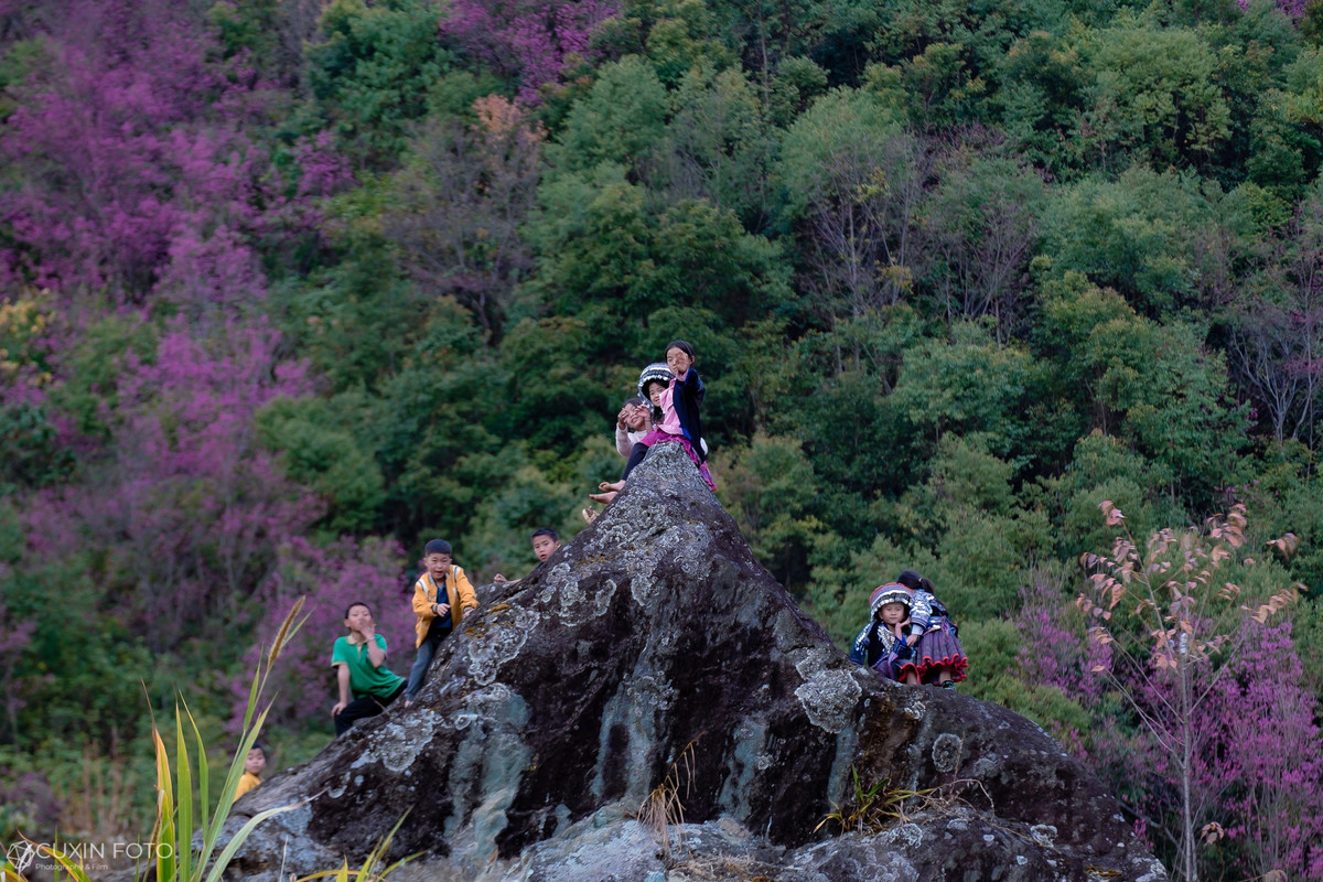 Mùa hoa tớ dày cũng là thời điểm thời tiết Mù Cang Chải khắc nghiệt nhất trong năm. Nhiệt độ ban đêm có thể xuống rất thấp, có sương muối hoặc mưa bất chợt khiến hoa rụng nhanh, cảnh sắc thay đổi chỉ sau một đêm. Vì vậy, du khách cần theo dõi kỹ dự báo thời tiết, chuẩn bị trang phục giữ ấm, giày chống trơn trượt và sắp xếp lịch trình linh hoạt để tránh bỏ lỡ khoảnh khắc đẹp nhất của mùa hoa. Ảnh Phạm Xuân Quý
