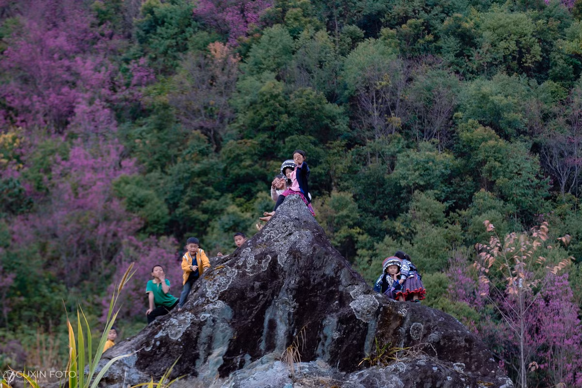 Mùa hoa tớ dày cũng là thời điểm thời tiết Mù Cang Chải khắc nghiệt nhất trong năm. Nhiệt độ ban đêm có thể xuống rất thấp, có sương muối hoặc mưa bất chợt khiến hoa rụng nhanh, cảnh sắc thay đổi chỉ sau một đêm. Vì vậy, du khách cần theo dõi kỹ dự báo thời tiết, chuẩn bị trang phục giữ ấm, giày chống trơn trượt và sắp xếp lịch trình linh hoạt để tránh bỏ lỡ khoảnh khắc đẹp nhất của mùa hoa. Ảnh Phạm Xuân Quý