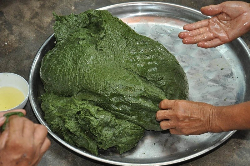 Nắm bắt nhu cầu thị trường, nhiều hộ dân đã mở rộng diện tích trồng cây gai, coi đây là hướng phát triển kinh tế mới. Chỉ sau khoảng 45 ngày, cây bắt đầu cho thu hoạch lứa đầu tiên. Trung bình mỗi sào có thể đạt năng suất khoảng 3 tạ lá tươi/lứa. Ảnh MIA