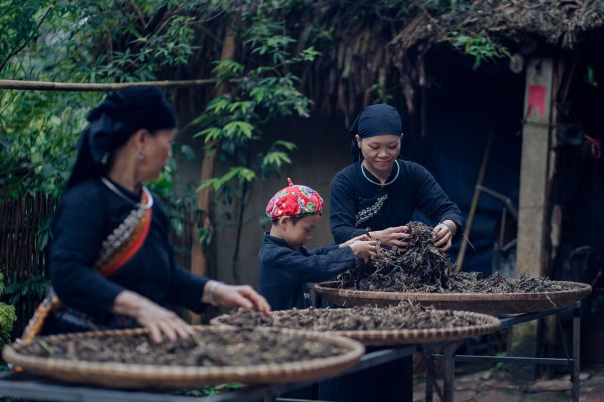 Đặc biệt, phụ nữ ở Thái Hải được giải phóng đáng kể áp lực gia đình. Ai khỏe thì làm, ai mệt thì nghỉ, việc chăm sóc trẻ nhỏ hay người già đều là trách nhiệm chung. Trẻ em từ mầm non đến lớp 5 mặc trang phục áo chàm truyền thống, học tại ngôi trường ngay trong bản. Nhiều cô giáo ở đây chính là những cô bé lớn lên từ bản, học hành rồi quay về cống hiến cho quê hương – minh chứng cho sức sống bền bỉ của mô hình làng cộng đồng.