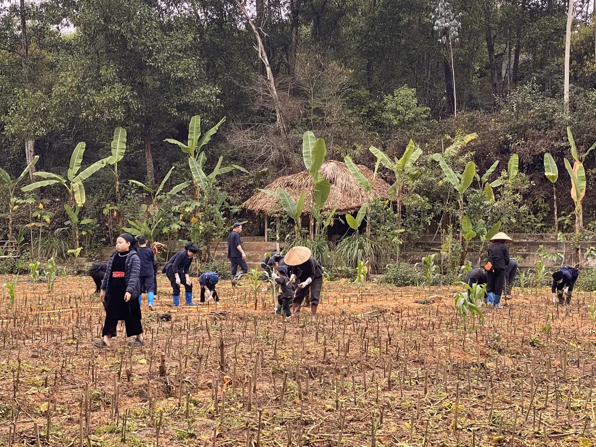 Thái Hải được xem như mô hình cộng đồng bền vững giữa thời hiện đại. Lối sống hài hòa, ít bon chen, gắn kết như một gia đình lớn khiến nhiều du khách tìm đến để “giải nhiễu”, tạm gác lại áp lực cuộc sống.