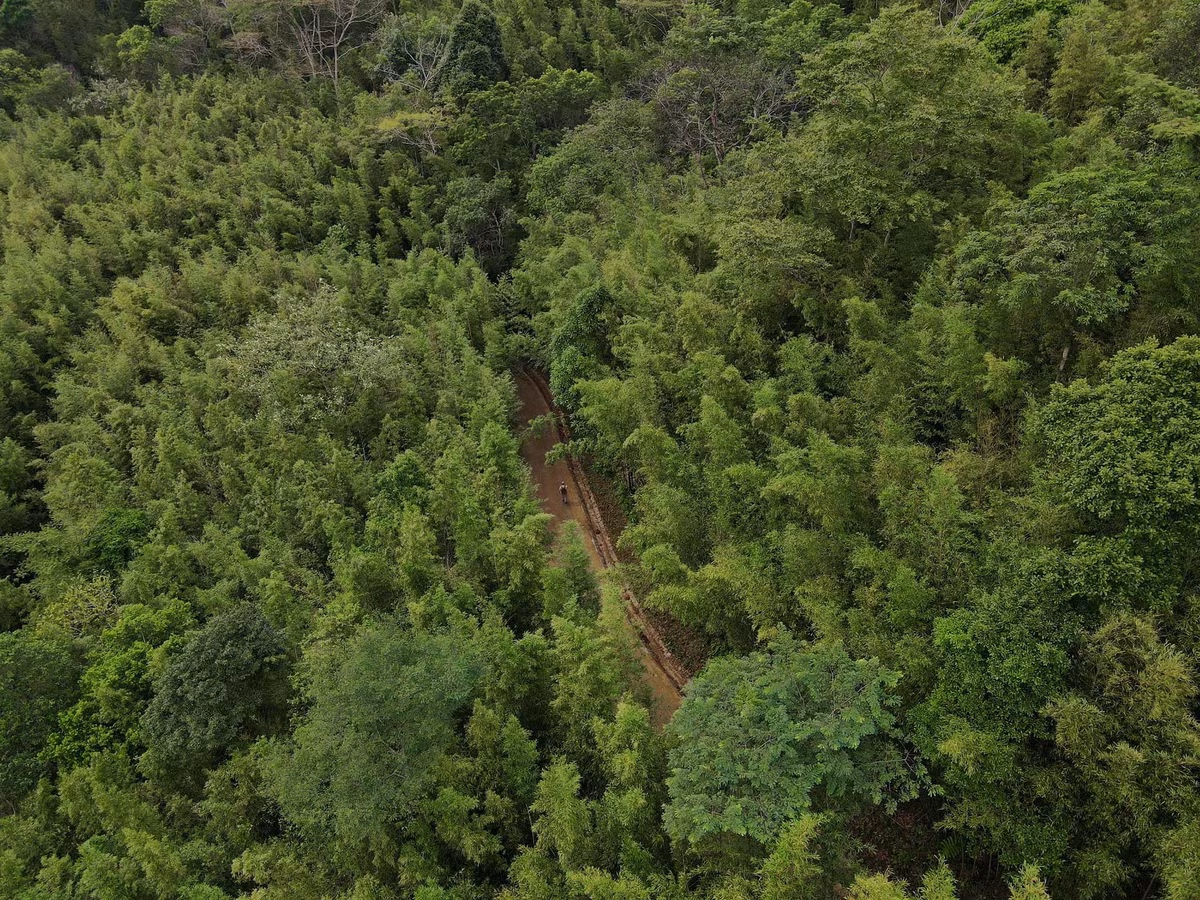 Nếu du khách đang tìm kiếm một điểm đến mới lạ, nơi thiên nhiên hoang sơ và yên bình hòa quyện vào nhau, thì Rừng Trúc Nguyên Bình (Cao Bằng) chính là lựa chọn lý tưởng. Với không gian xanh mướt quanh năm và vẻ đẹp huyền bí như bối cảnh trong những bộ phim kiếm hiệp, khu rừng này đã trở thành điểm check-in không thể bỏ qua cho những tín đồ du lịch. Ảnh Hoàng Hiếu