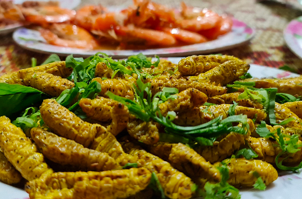 Dù “ngoại hình” khiến nhiều du khách e dè, giá trị dinh dưỡng của tằm sắn lại được người dân đánh giá cao. Vì chưa nhả tơ, lượng đạm trong tằm rất lớn, thường được dùng để bồi bổ cho người mới ốm dậy, trẻ nhỏ còi cọc hay người cần tăng cường thể lực. Trước khi chế biến, tằm thường được luộc sơ với lá chanh và chút muối, có nơi cho thêm bột nghệ để tạo màu vàng đẹp mắt, sau đó cắt bỏ đầu, đuôi rồi mới đem chế biến. Ảnh sovaba.travel