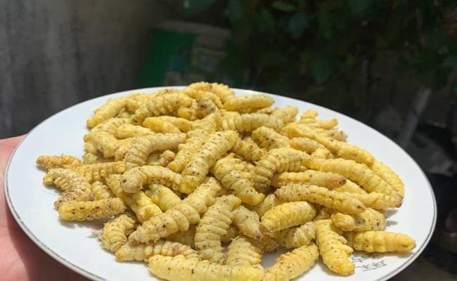 Thế nhưng, nghịch lý nằm ở chỗ: càng “đáng sợ” bao nhiêu thì khi ăn lại càng gây bất ngờ bấy nhiêu. Lớp thịt bên trong bùi, béo, ngọt nhẹ, dai vừa phải – hương vị khó trộn lẫn với bất kỳ loại thực phẩm nào khác.