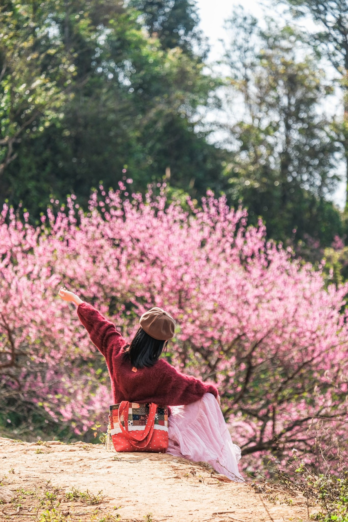 Giữa những ngày cuối năm, khi nhịp sống dần chậm lại, vùng cao phía Bắc bắt đầu khoác lên mình tấm áo xuân rực rỡ. Ảnh Ba đứa mình