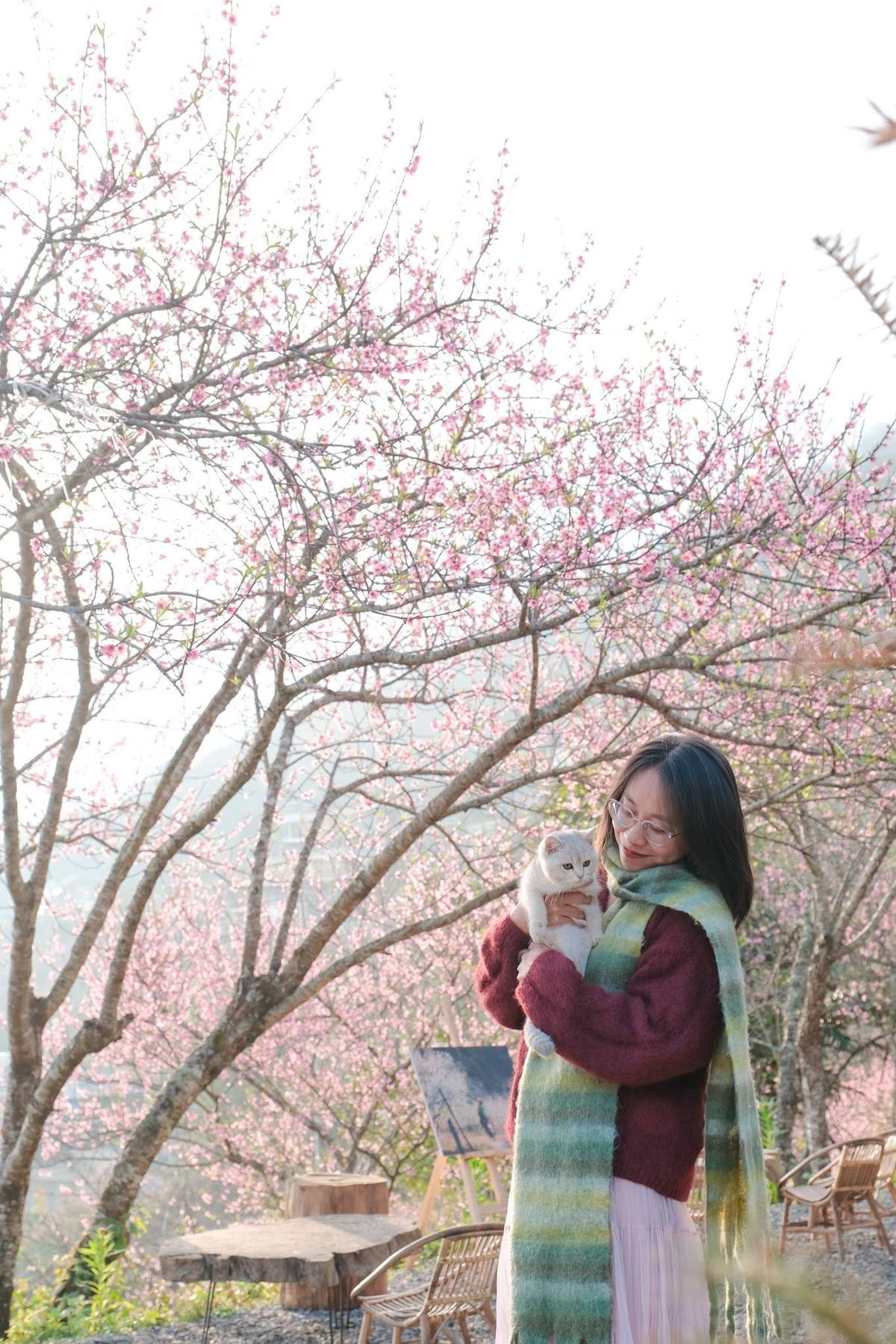 Hoa mận trắng tinh khôi, đào rừng hồng phấn, cải vàng óng ánh… lần lượt bung nở, biến núi rừng thành bức tranh thiên nhiên đầy mê hoặc, khiến ai cũng muốn xách ba lô lên đường. Ảnh Ba đứa mình