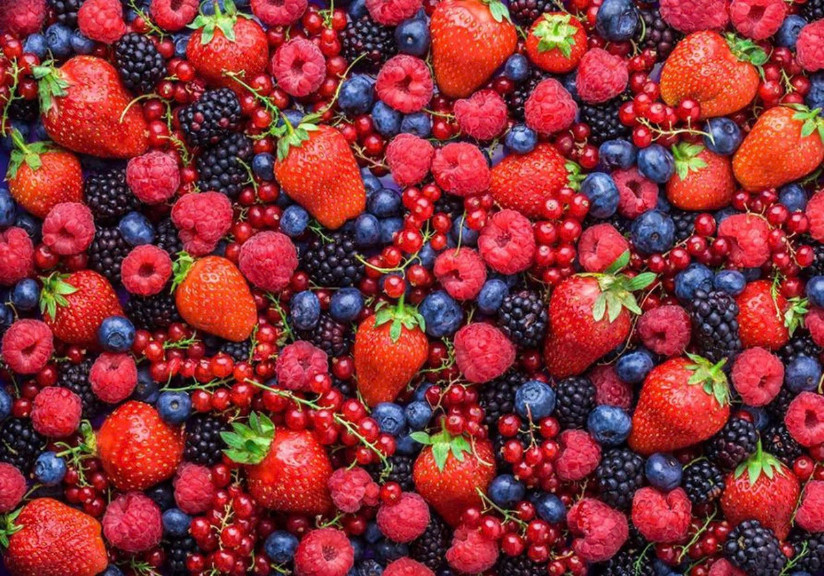 Các loại quả mọng như dâu tây, việt quất, mâm xôi chứa hàm lượng anthocyanin và vitamin C dồi dào. Những chất này giúp trung hòa gốc tự do – nguyên nhân gây tổn thương tế bào sắc tố. Vitamin C trong quả mọng còn tăng khả năng hấp thu sắt, khoáng chất thiết yếu cho sự phát triển của nang tóc. Bổ sung quả mọng thường xuyên không chỉ giúp tóc đen khỏe mà còn giảm nguy cơ gãy rụng. Ảnh minh họa