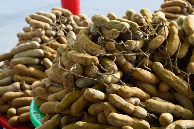 Một nghiên cứu chỉ ra rằng hợp chất Alpha-amylase trong me có khả năng ức chế hấp thụ carbohydrate, giúp hạn chế lượng đường đưa vào máu. Điều này đặc biệt hữu ích cho người mắc tiểu đường, hỗ trợ kiểm soát lượng glucose một cách tự nhiên, an toàn. Ảnh minh hoạ