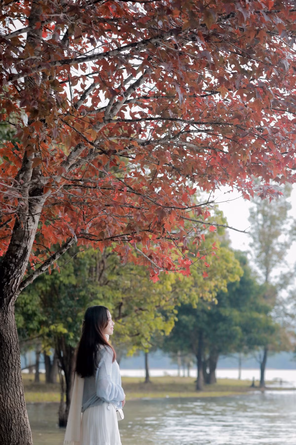 Nằm ở vùng núi phía Tây tỉnh Quảng Trị, Khe Sanh (xã Khe Sanh) những năm gần đây dần trở thành điểm đến được du khách ưa chuộng nhờ cảnh quan thiên nhiên hoang sơ, khí hậu mát mẻ và những dấu ấn lịch sử đặc biệt còn lưu giữ.