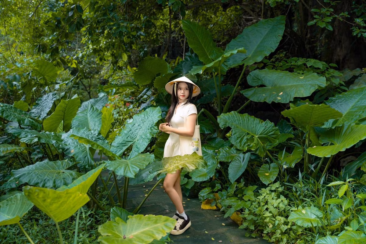 Khi đến đây, du khách nên mặc trang phục tone trắng để nổi bật giữa thiên nhiên rực rỡ, giúp những bức ảnh trở nên tinh khôi và lãng mạn. Ảnh Thuỳ Dương