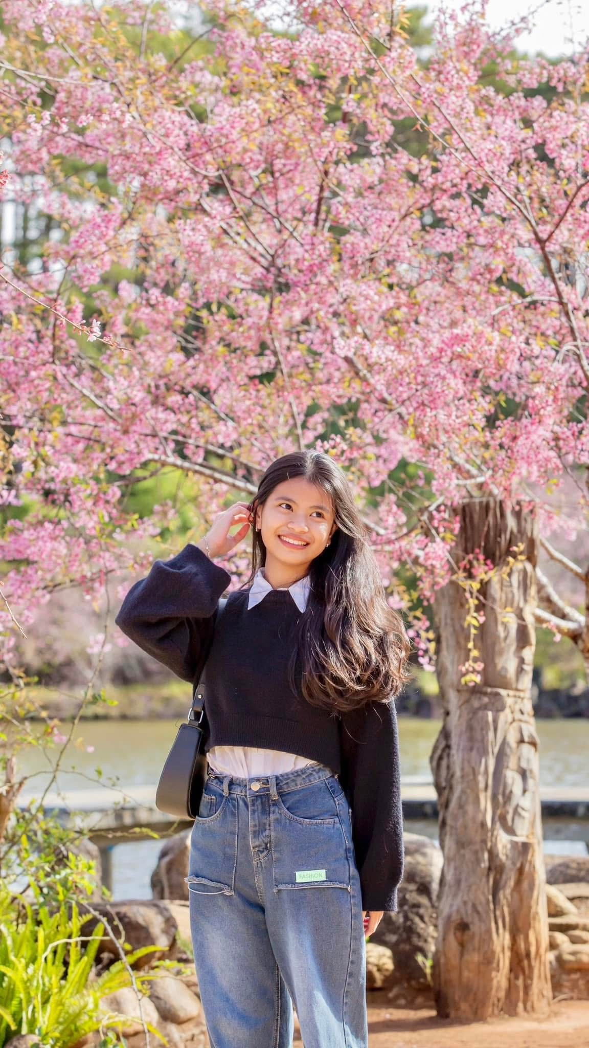 Hoa anh đào hiện được trồng tại nhiều khu vực như dọc Quốc lộ 24, các tuyến đường Võ Thị Sáu, Phan Bội Châu, Quảng trường trung tâm xã Măng Đen, Vườn nghệ thuật Măng Đen và khu vực hồ Đam Bri, hình thành những điểm nhấn cảnh quan thu hút du khách. Ảnh Măng Đen Đại Ngàn