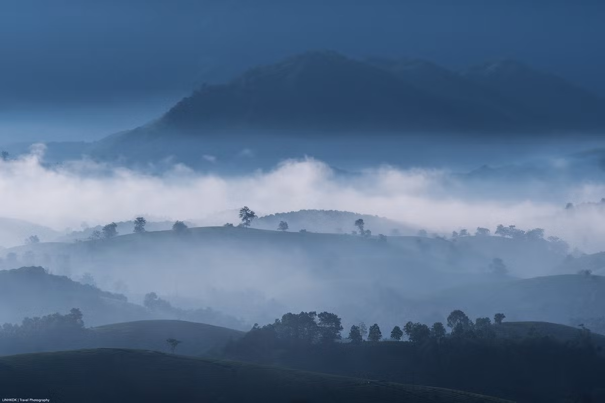 Với cảnh quan độc đáo, không gian yên bình và trải nghiệm gần gũi thiên nhiên, đồi chè Long Cốc xứng đáng là một trong những địa điểm check-in, thư giãn và khám phá không thể bỏ qua khi du lịch Phú Thọ. Ảnh Trần Linh
