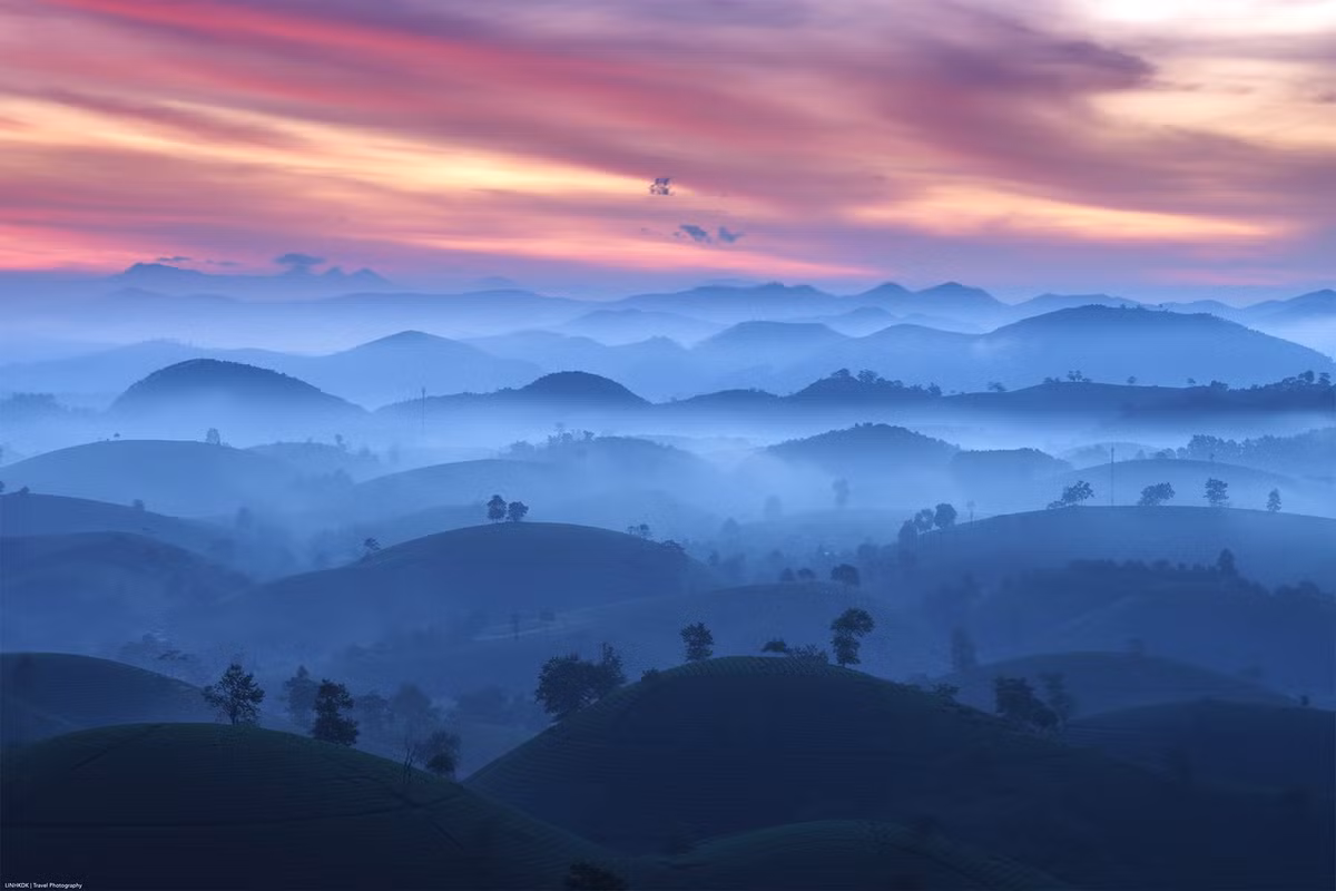 Không chỉ là nơi thưởng ngoạn, Long Cốc còn mang đến trải nghiệm chân thực với nghề trồng chè truyền thống. Ảnh Trần Linh