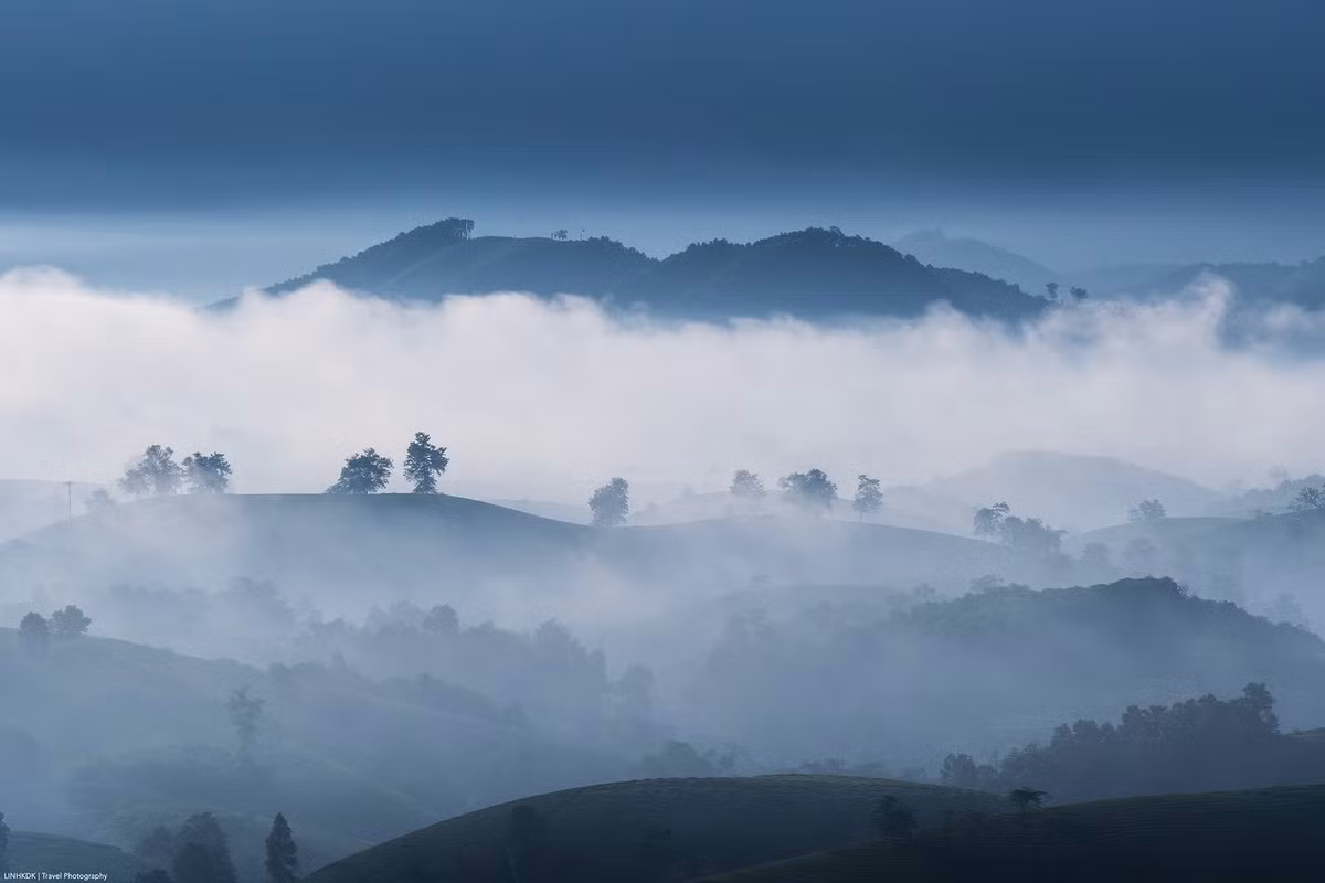Du khách có thể thong thả dạo giữa các luống chè, tận hưởng không khí trong lành, và chụp những bức ảnh sống động bên những đồi chè xanh mướt trải dài tít tắp. Ảnh Trần Linh