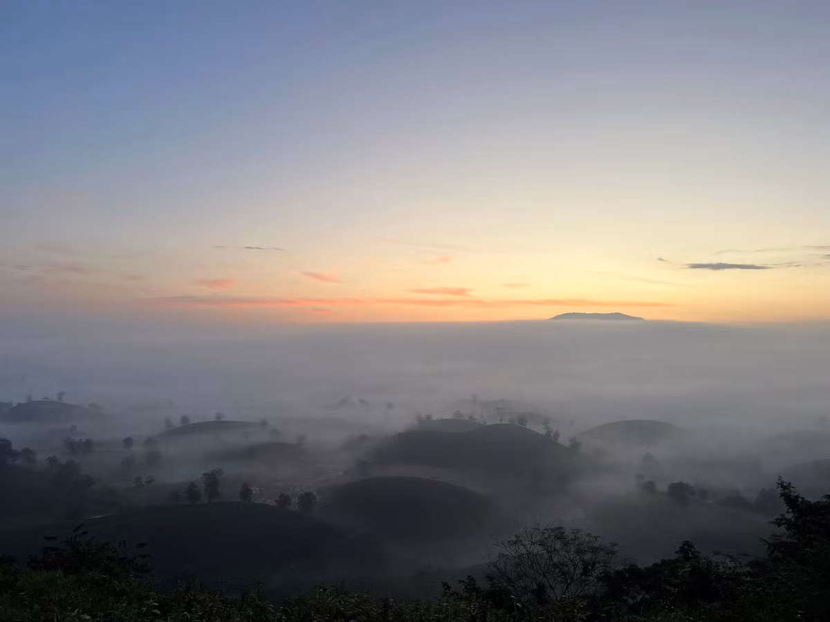 Vào mùa Thu – Đông, mây mù dày đặc phủ khắp đồi chè, tạo nên khung cảnh huyền ảo, lãng mạn, thu hút các tín đồ du lịch và nhiếp ảnh. Ảnh Tony Luận