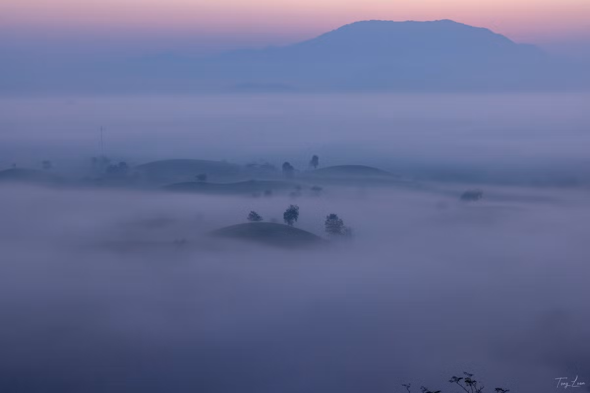 Thời điểm đẹp nhất để ghé thăm là vào sáng sớm đầu Hè, khi lớp sương mờ bao phủ các quả đồi dưới ánh hồng dịu của bình minh. Không gian yên tĩnh, tĩnh lặng, là thời khắc hoàn hảo để săn mây và lưu lại những khung hình ấn tượng. Ảnh Tony Luận