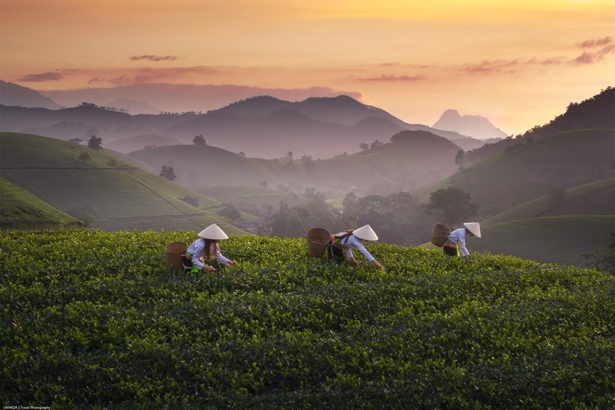 Đây là nơi lý tưởng cho những chuyến đi cuối tuần, những hành trình săn mây hay đơn giản là để tạm rời xa nhịp sống hối hả của thành thị. Ảnh Trần Linh