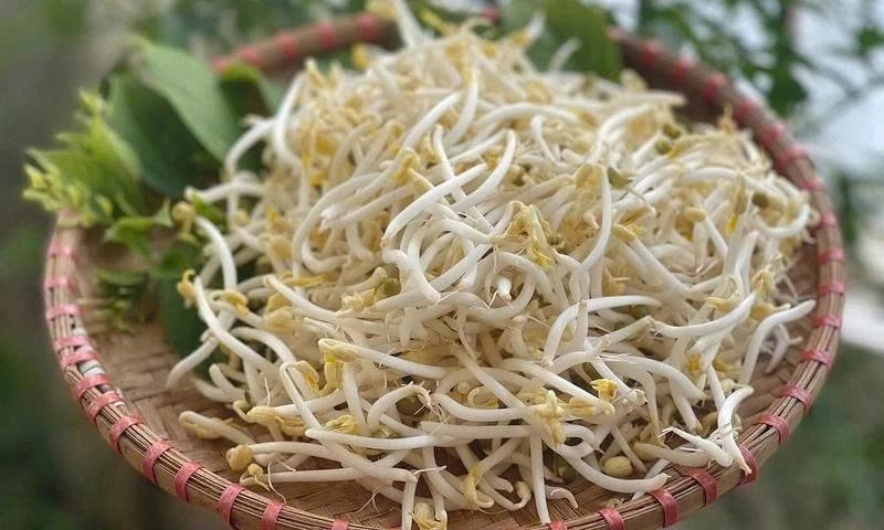 Chỉ vài nghìn đồng một túi, loại rau mầm trắng giòn quen thuộc trong bữa cơm Việt lại chứa nguồn đạm, khoáng và chất chống oxy hóa quý hiếm, có lợi cho cả sức khỏe và sinh lý. Ảnh minh họa