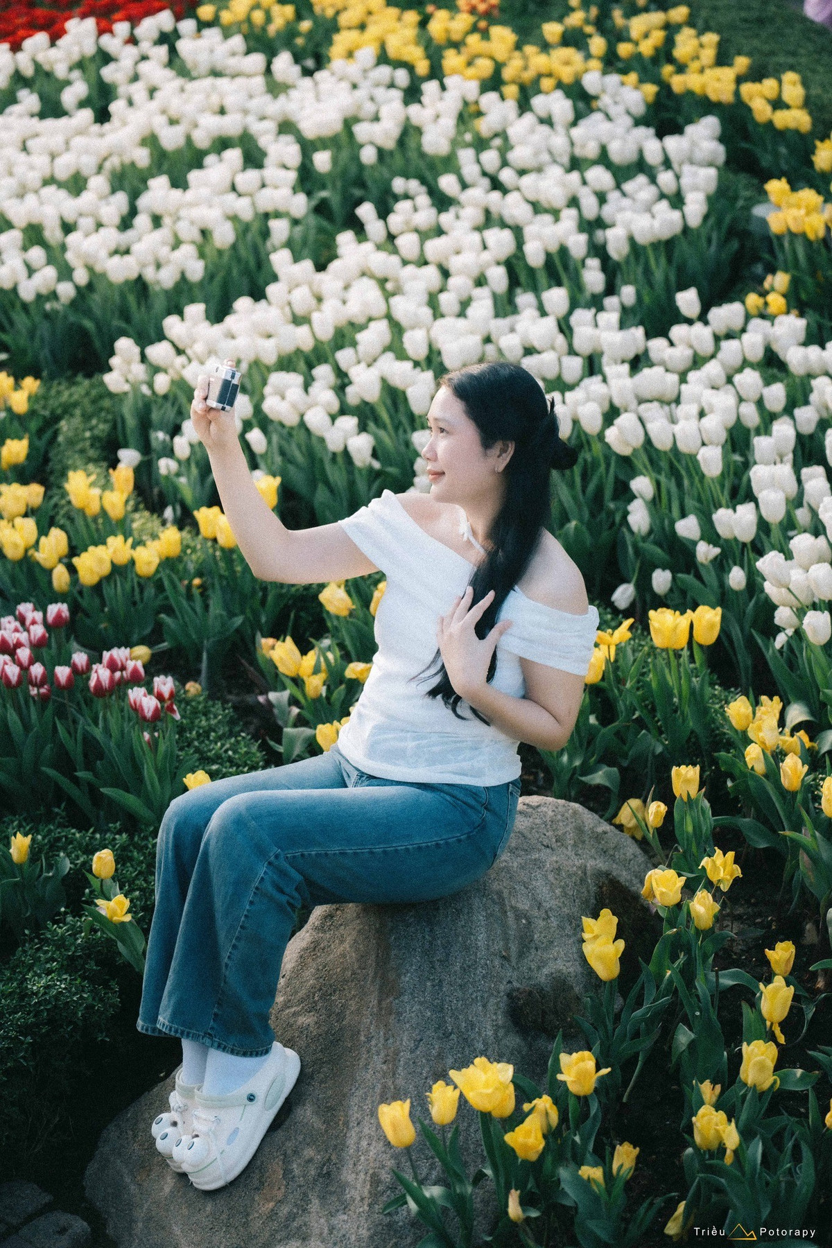 Cánh hoa dày, mịn, khum nhẹ như chén ngọc, nổi bật giữa nền trời xanh trong và không gian khoáng đạt trên đỉnh núi. Ảnh Triều Potoraphy