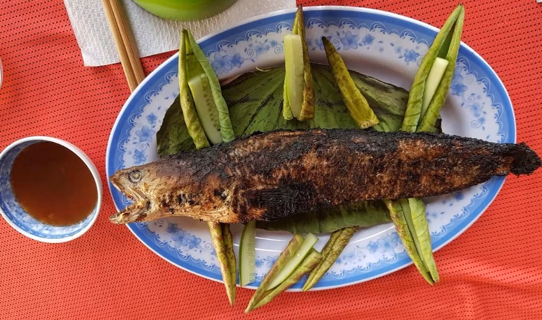 Du khách có thể ngồi giữa đồng sen rộng lớn, dưới những chòi lá đơn sơ, lắng nghe đờn ca tài tử vọng lại từ xa, tay gỡ cá nóng hổi, cuốn lá sen và nhâm nhi giữa làn gió nhẹ. Cảm giác ấy, như nhiều du khách mô tả, không chỉ là ăn ngon mà còn là "ăn bằng ký ức", bằng tất cả giác quan. Ảnh dulichvietnam