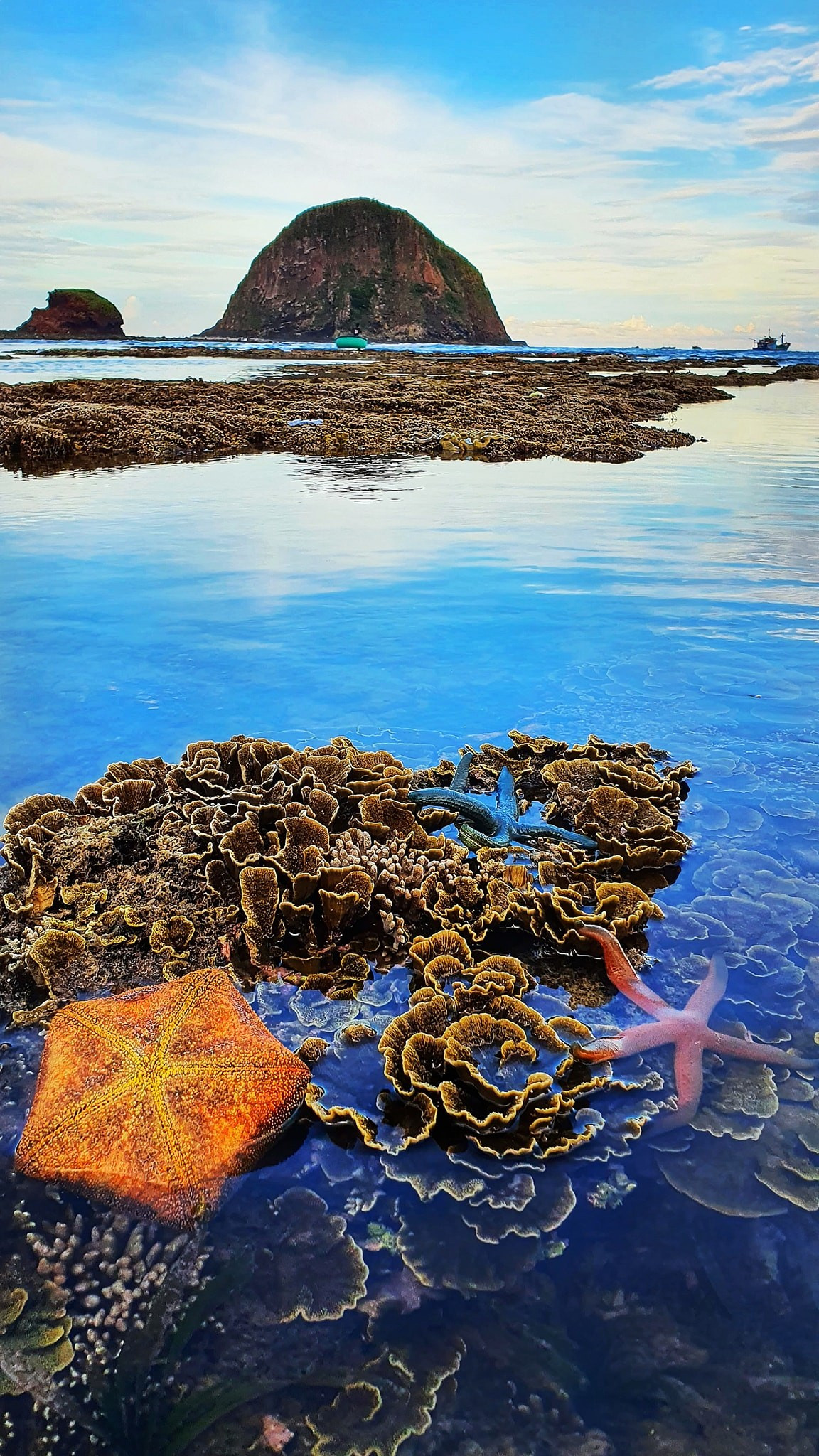 Điều khiến Hòn Yến trở nên đặc biệt chính là hiện tượng bãi san hô lộ thiên – một "đặc sản" chỉ có thể thấy vào những ngày đầu và giữa tháng âm lịch khi thủy triều rút xuống thấp vào buổi chiều muộn. Ảnh Vuong Xuan Phu Tran