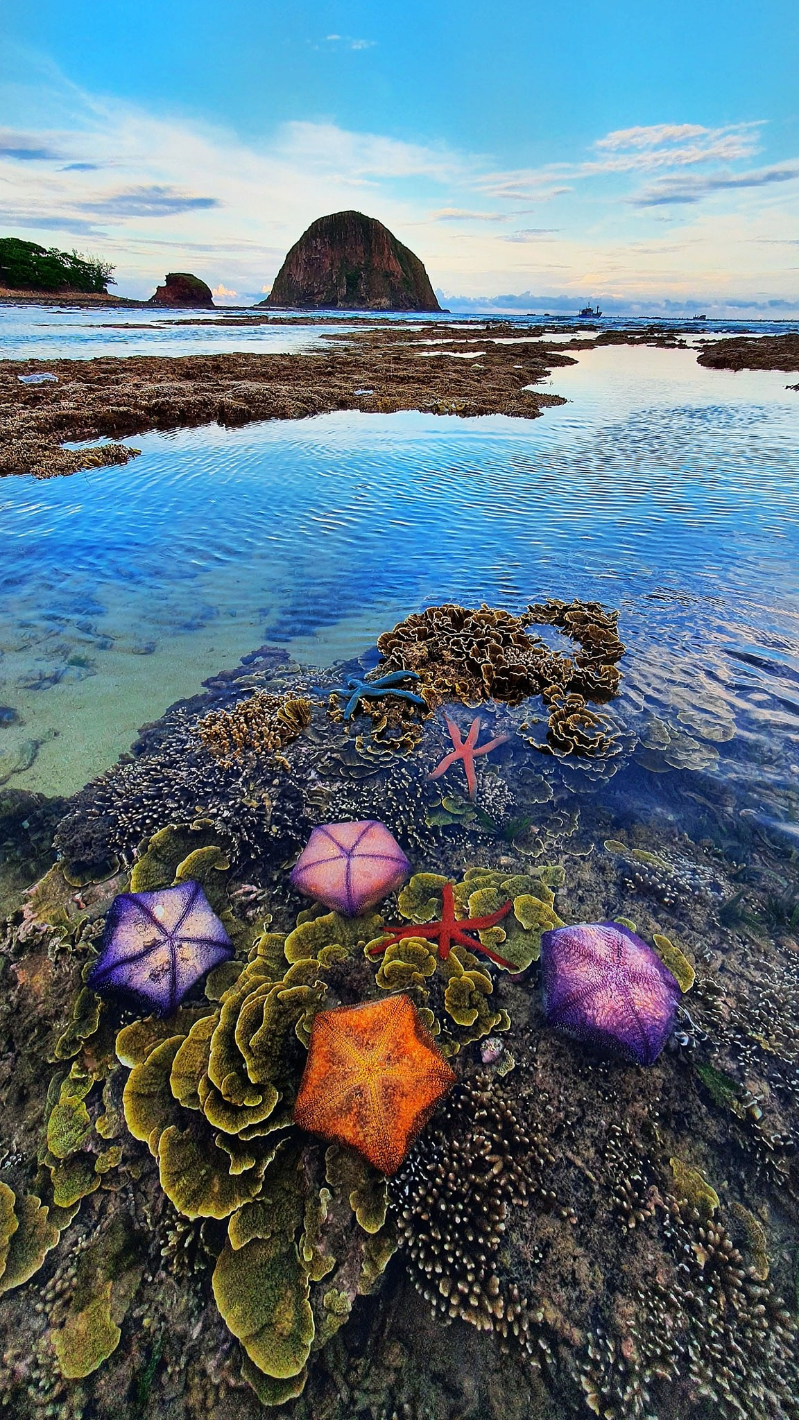 Theo người dân địa phương, cảnh tượng này chỉ xuất hiện trong vài giờ mỗi tháng, thường vào lúc chiều muộn. Vì vậy, nhiều nhiếp ảnh gia và du khách đã cất công tìm đến Hòn Yến chỉ để “săn” khoảnh khắc thiên nhiên hiếm có này. Ảnh Vuong Xuan Phu Tran