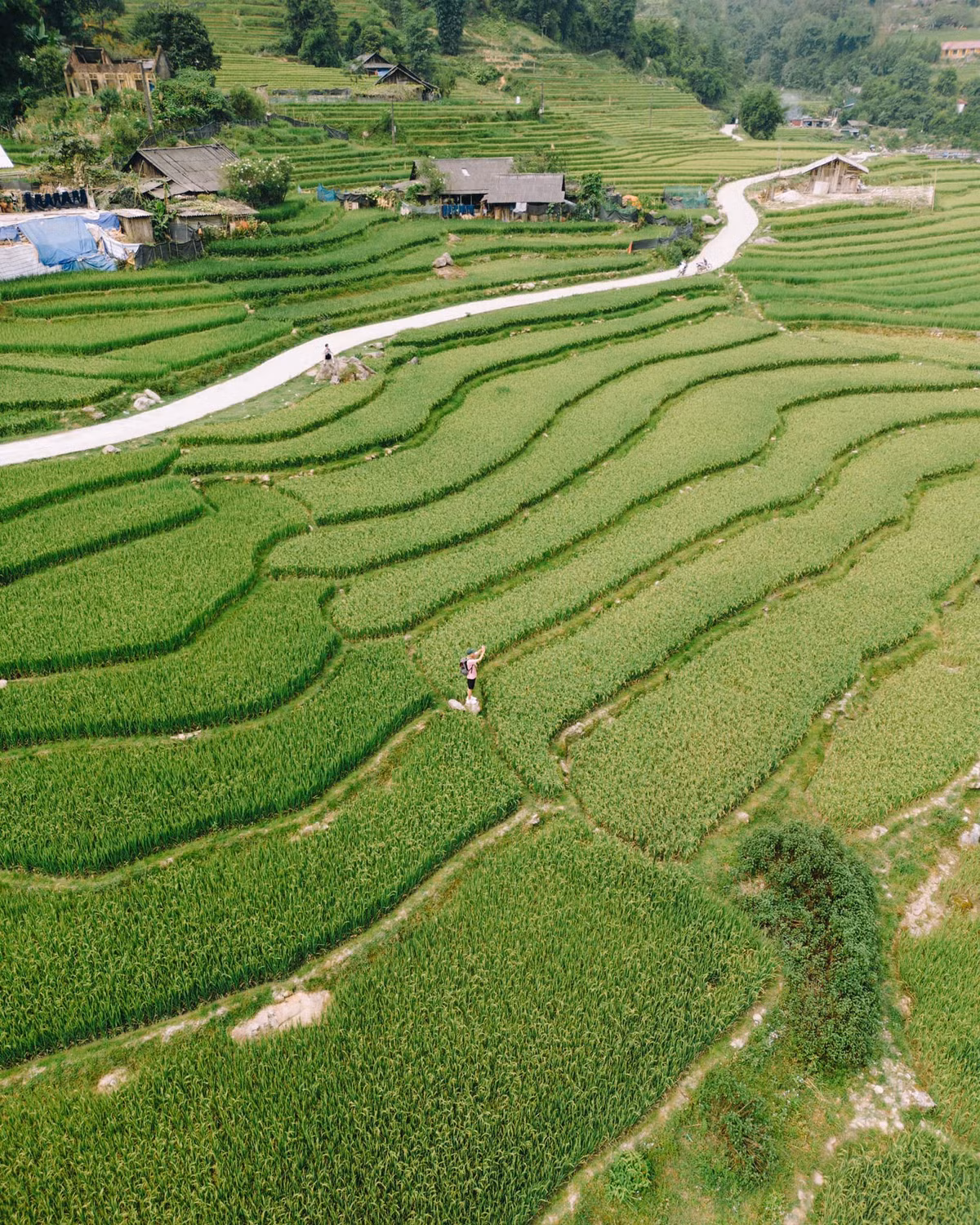 Thời điểm lý tưởng để ghé thăm Tả Van là từ tháng 3 đến tháng 5 – mùa nước đổ với ruộng bậc thang như gương trời – và từ tháng 9 đến tháng 11 khi mùa lúa chín nhuộm vàng cả thung lũng. Du khách nên chuẩn bị trang phục phù hợp để di chuyển địa hình núi, mang theo áo khoác nhẹ và đồ giữ ấm vì đêm xuống nhiệt độ thường hạ thấp. Ảnh Bùi Quang Thụy