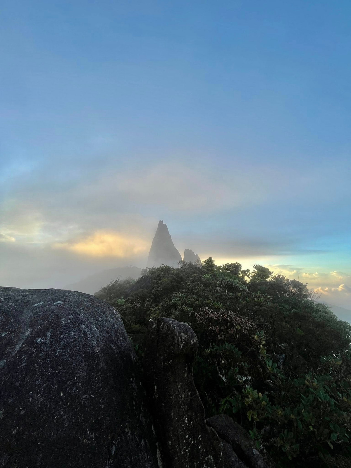 Với những ai đã có kinh nghiệm trekking, từng chinh phục những cung đường như Tà Năng – Phan Dũng, Langbiang hay Bidoup, thì việc đi tự túc là cách để tận hưởng trọn vẹn sự tự do và chất “phiêu lưu” của một chuyến đi rừng đúng nghĩa. Bạn có thể chủ động lịch trình, lựa chọn điểm cắm trại, tự nấu ăn giữa thiên nhiên và cảm nhận được sự kết nối sâu sắc với núi rừng. Tuy nhiên, Chư Mư không dành cho người mới. Ảnh Phuong Dung