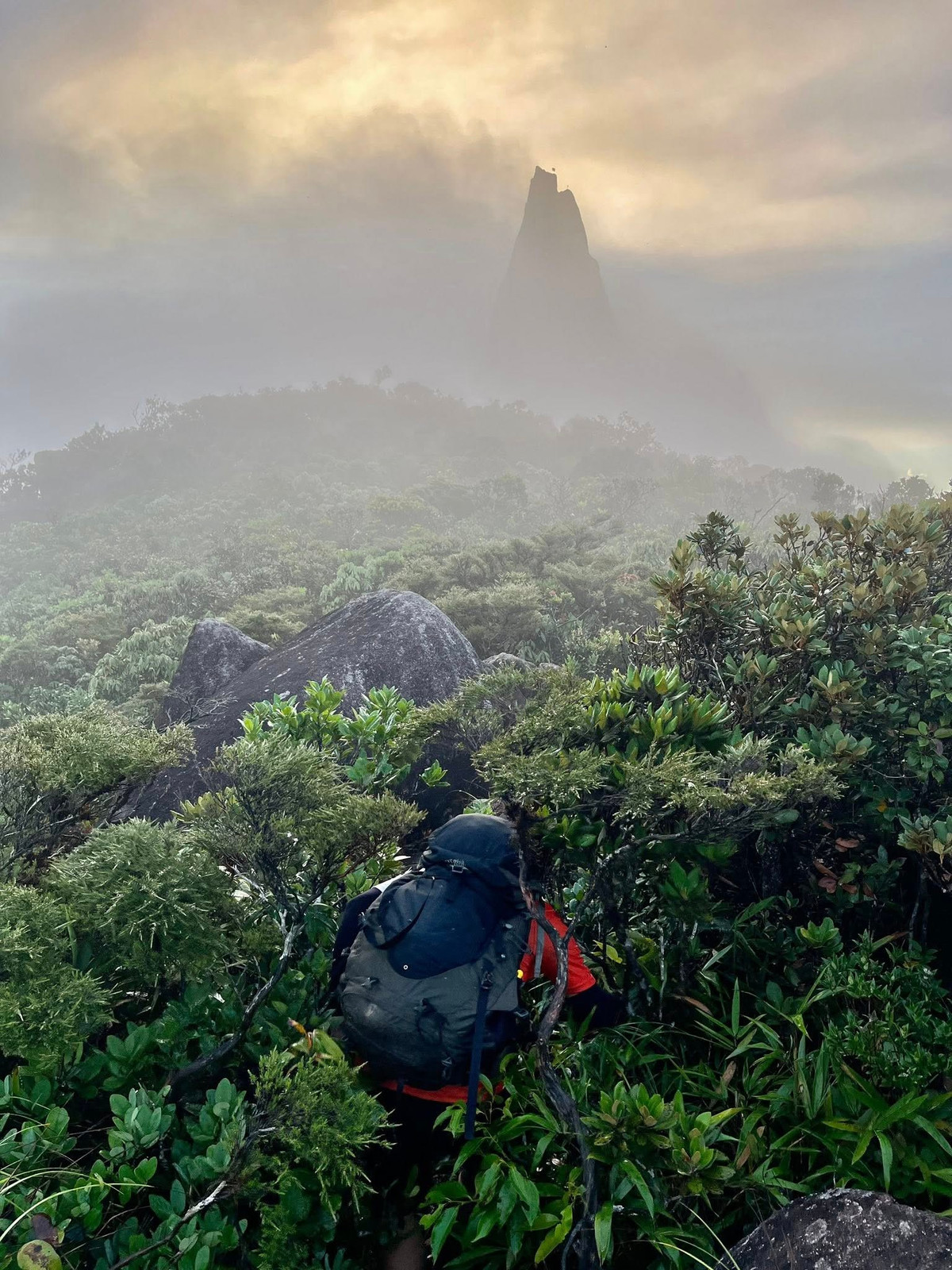 Nằm sâu trong vùng rừng núi hoang sơ của xã Yang Mao, huyện Krông Bông, tỉnh Đắk Lắk, đỉnh Chư Mư hay còn gọi là Chư H’Mu vẫn là một cái tên còn khá mới trên bản đồ du lịch khám phá Việt Nam. Thế nhưng, đối với những người đam mê trekking và tìm kiếm vẻ đẹp nguyên sơ, Chư Mư là điểm đến đầy hấp dẫn với khung cảnh thiên nhiên hùng vĩ, thảm rừng nguyên sinh xanh thẫm và đặc biệt là hình ảnh hòn Vọng Phu kỳ lạ giữa tầng mây. Ảnh Phuong Dung