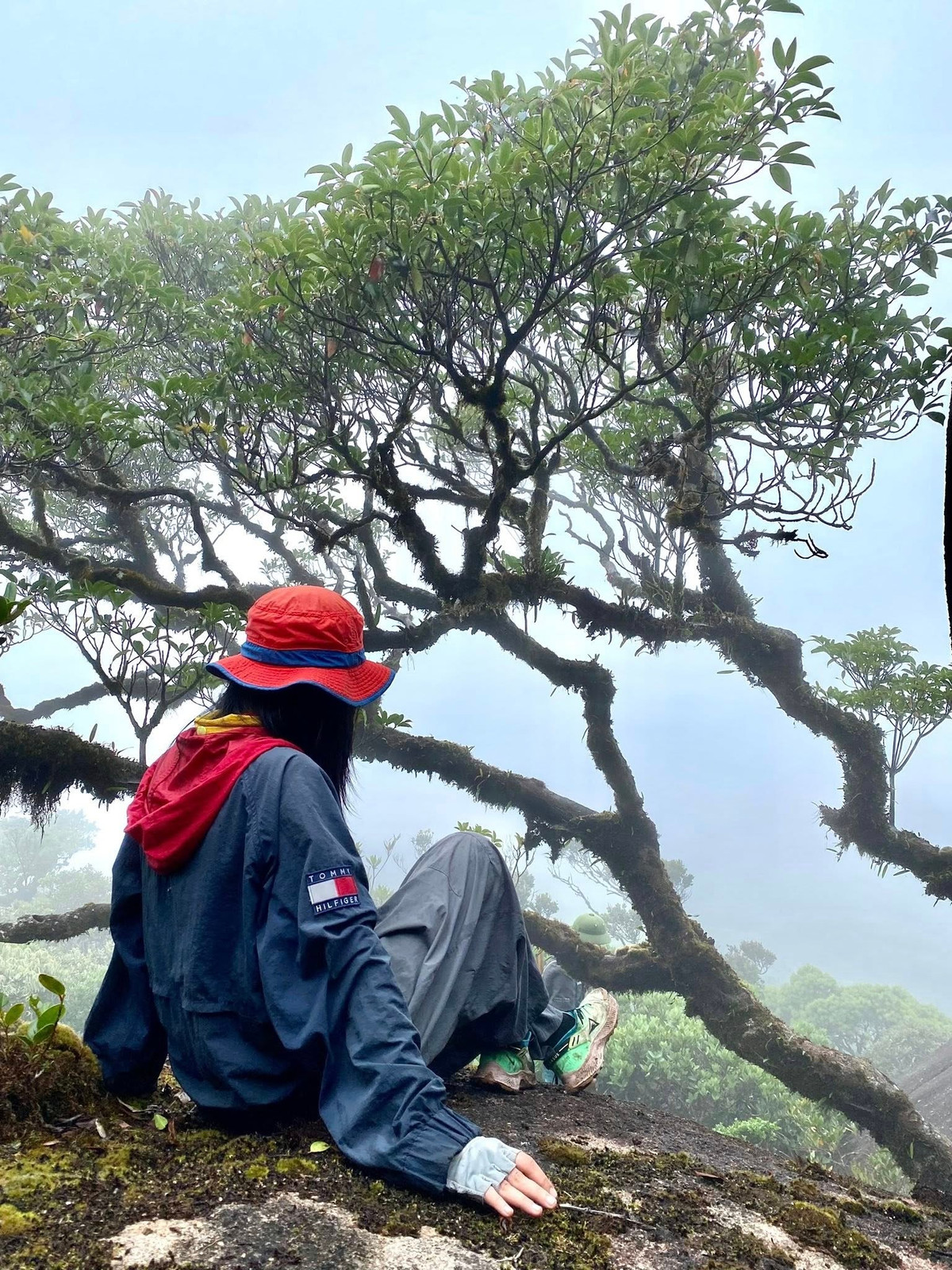 Hành trình chinh phục Chư Mư không hề dễ dàng. Đường lên đỉnh chủ yếu là rừng rậm, dốc cao, nhiều đoạn phải bám vào rễ cây và leo qua đá lớn. Thời tiết thay đổi thất thường, sương mù dày đặc, càng làm tăng thêm phần thử thách. Thế nhưng, chính sự gian nan ấy lại khiến cho cảm giác đặt chân lên đỉnh núi trở nên thiêng liêng và đáng nhớ hơn bao giờ hết. Ảnh Phuong Dung