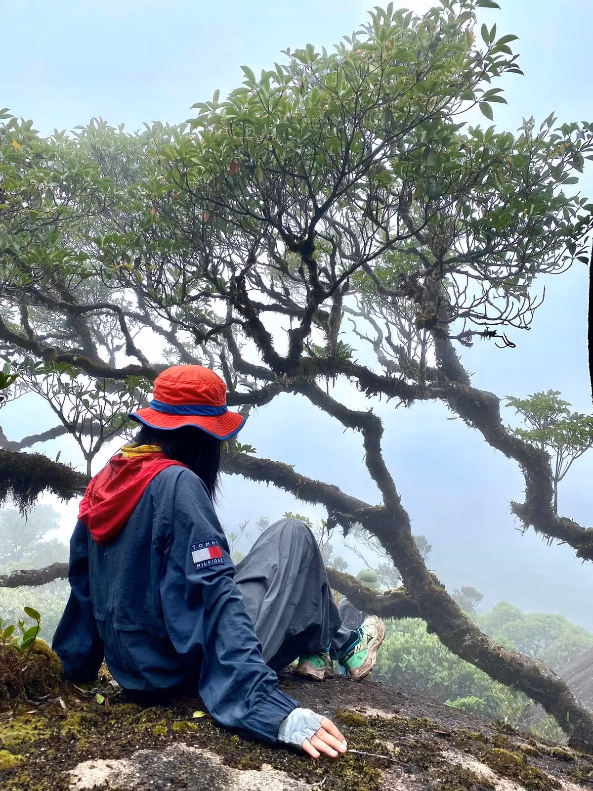 Hành trình chinh phục Chư Mư không hề dễ dàng. Đường lên đỉnh chủ yếu là rừng rậm, dốc cao, nhiều đoạn phải bám vào rễ cây và leo qua đá lớn. Thời tiết thay đổi thất thường, sương mù dày đặc, càng làm tăng thêm phần thử thách. Thế nhưng, chính sự gian nan ấy lại khiến cho cảm giác đặt chân lên đỉnh núi trở nên thiêng liêng và đáng nhớ hơn bao giờ hết. Ảnh Phuong Dung