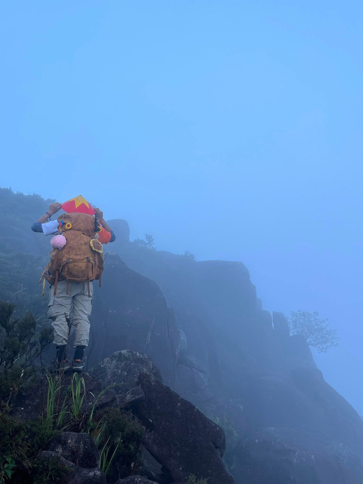 Dù đi tự túc hay theo tour, cảm giác khi chạm đến đỉnh Chư Mư đều mang đến một sự choáng ngợp – không phải bởi độ cao hay độ khó, mà bởi vẻ đẹp của thiên nhiên còn gần như nguyên vẹn. Ảnh Phuong Dung