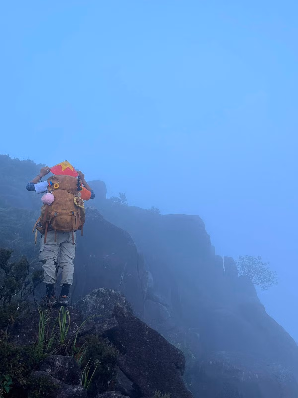 Dù đi tự túc hay theo tour, cảm giác khi chạm đến đỉnh Chư Mư đều mang đến một sự choáng ngợp – không phải bởi độ cao hay độ khó, mà bởi vẻ đẹp của thiên nhiên còn gần như nguyên vẹn. Ảnh Phuong Dung