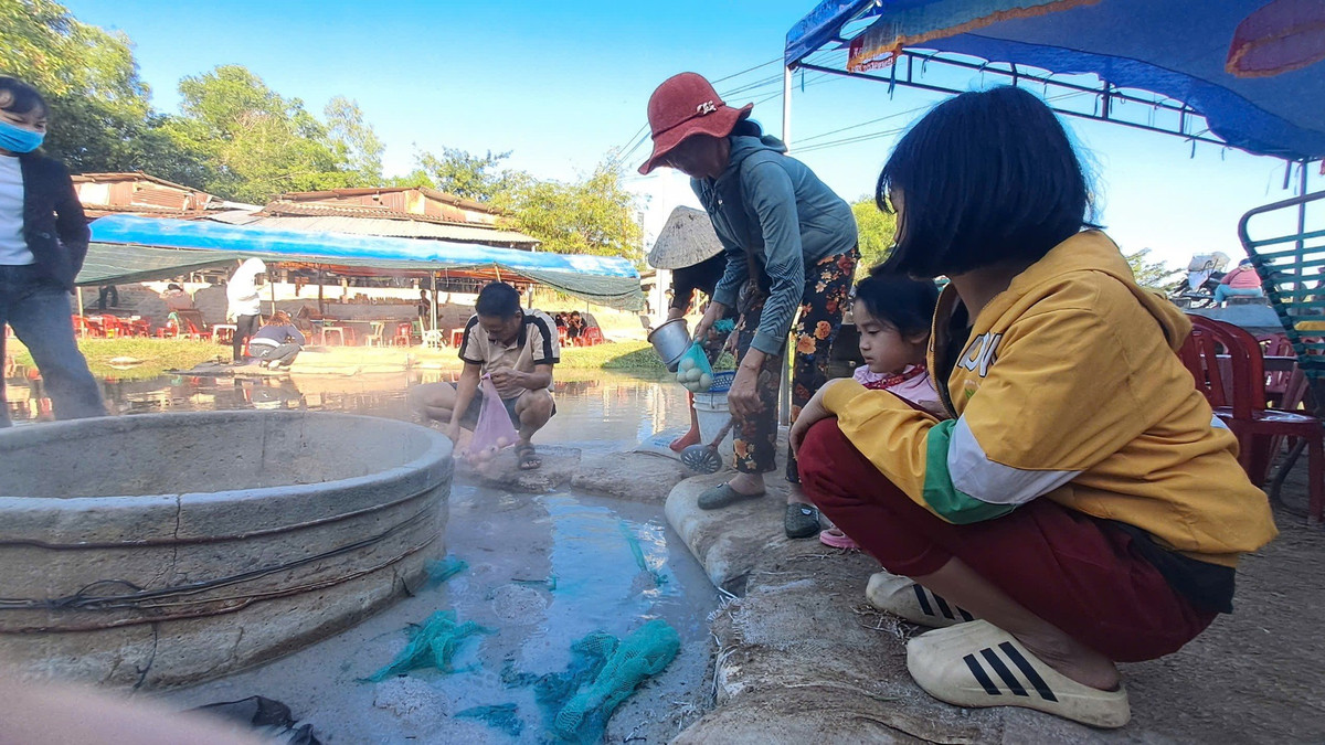 Theo người dân địa phương, hiện tượng này đã tồn tại từ rất lâu, trở thành nét đặc trưng hiếm có của vùng đất Hội Vân. Ảnh Báo Dân Việt