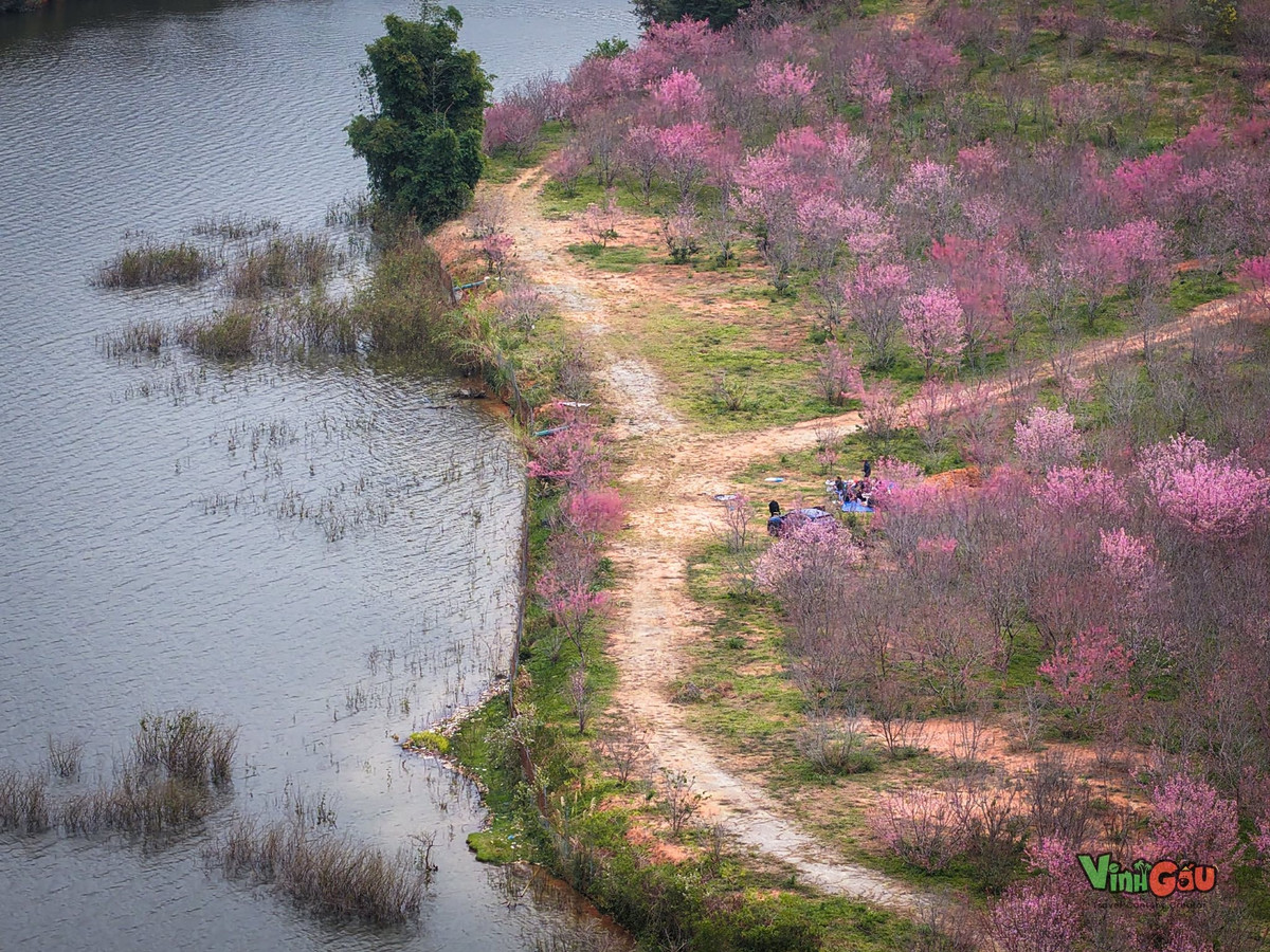 Mường Phăng không chỉ nổi bật nhờ cảnh quan thiên nhiên yên bình mà còn hấp dẫn bởi đời sống bản địa đậm chất Tây Bắc. Ảnh Vinh Gấu