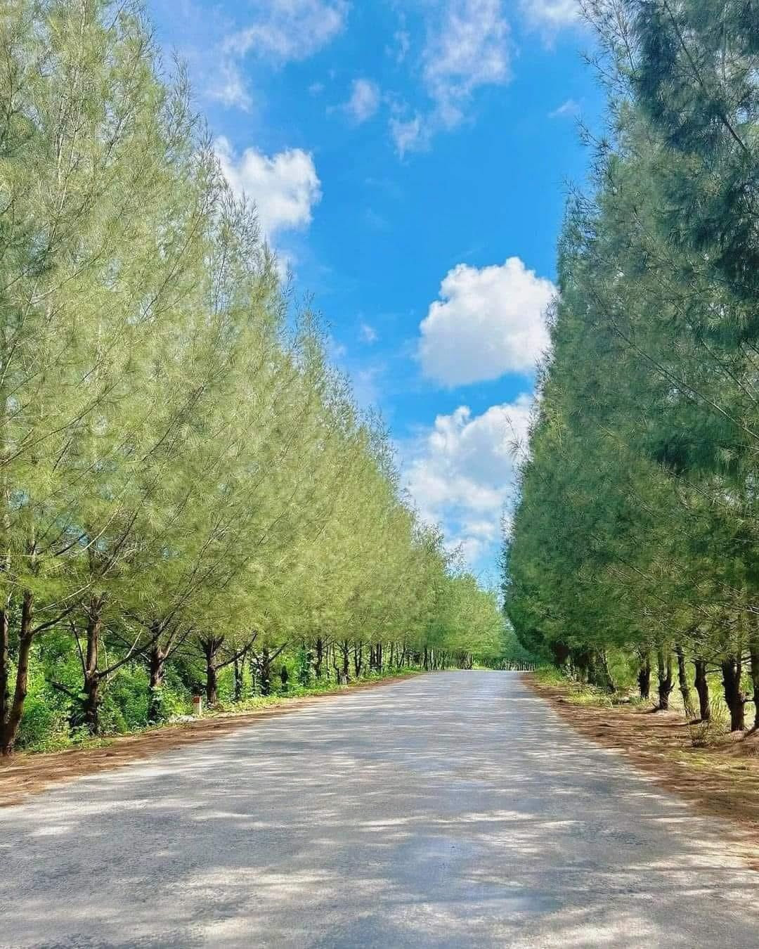 i. Sáng sớm, dạo bước men theo bãi biển Quan Lạn hay Minh Châu, lắng nghe tiếng chim gọi bạn và tiếng gió xào xạc, du khách có thể dễ dàng tìm thấy sự bình yên cho riêng mình. Đặc biệt vào những ngày nắng đẹp, bình minh nơi đây lên rất nhanh, rọi ánh vàng lên nền cát trắng mịn và mặt biển trong veo như pha lê. Ảnh Hải Linh