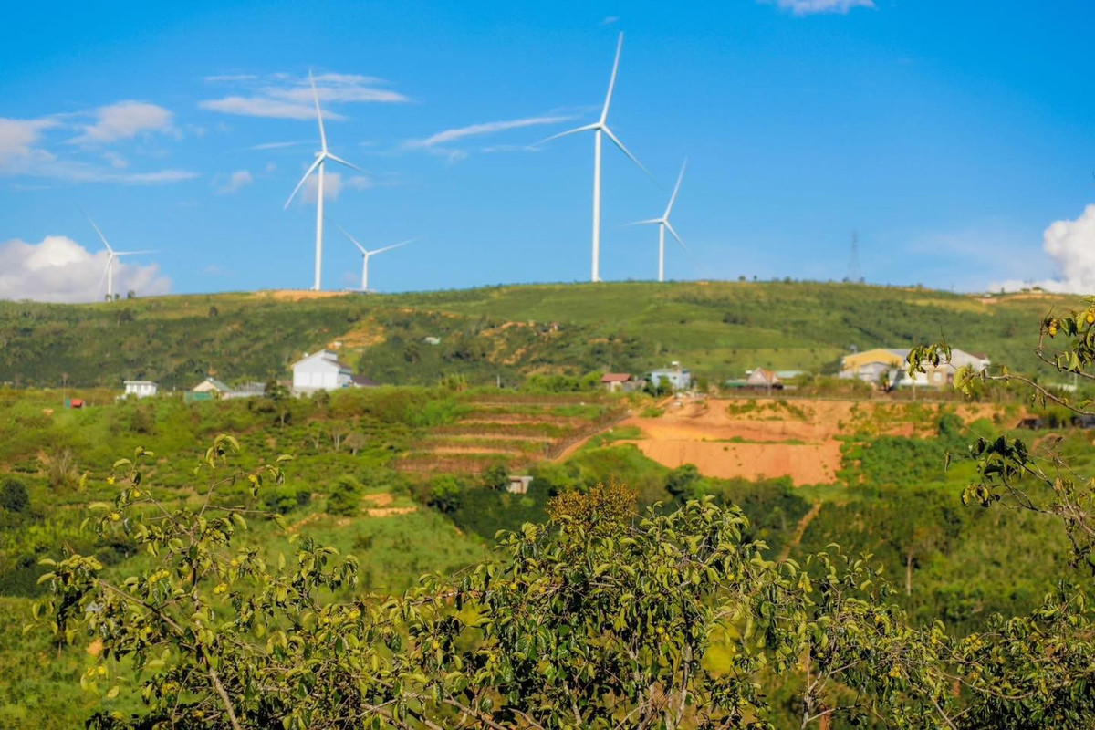 View - Đồi chè Cầu Đất điểm 'săn' bình minh khiến du khách mê mẩn | Báo Tri thức và Cuộc sống - TIN TỨC PHỔ BIẾN KIẾN THỨC 24H