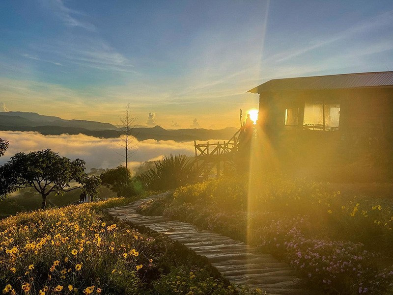 View - Đồi chè Cầu Đất điểm 'săn' bình minh khiến du khách mê mẩn | Báo Tri thức và Cuộc sống - TIN TỨC PHỔ BIẾN KIẾN THỨC 24H