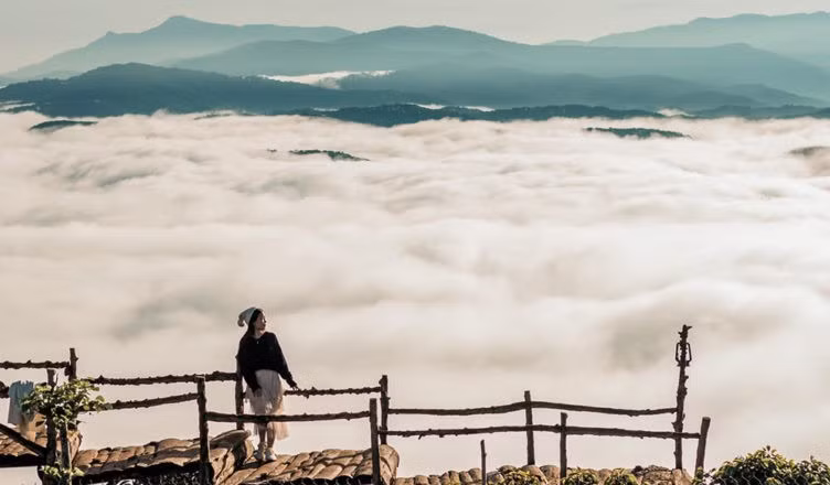Khi nắng lên cao hơn, khung cảnh mở ra rộng hơn với hình ảnh các tua-bin gió nổi bật phía xa. Những cánh quạt khổng lồ quay chậm rãi, vừa vững chãi vừa nhẹ nhàng, tạo nên sự hòa quyện độc đáo giữa nguyên sơ của thiên nhiên và nét hiện đại của con người. Ảnh dulichDaLat