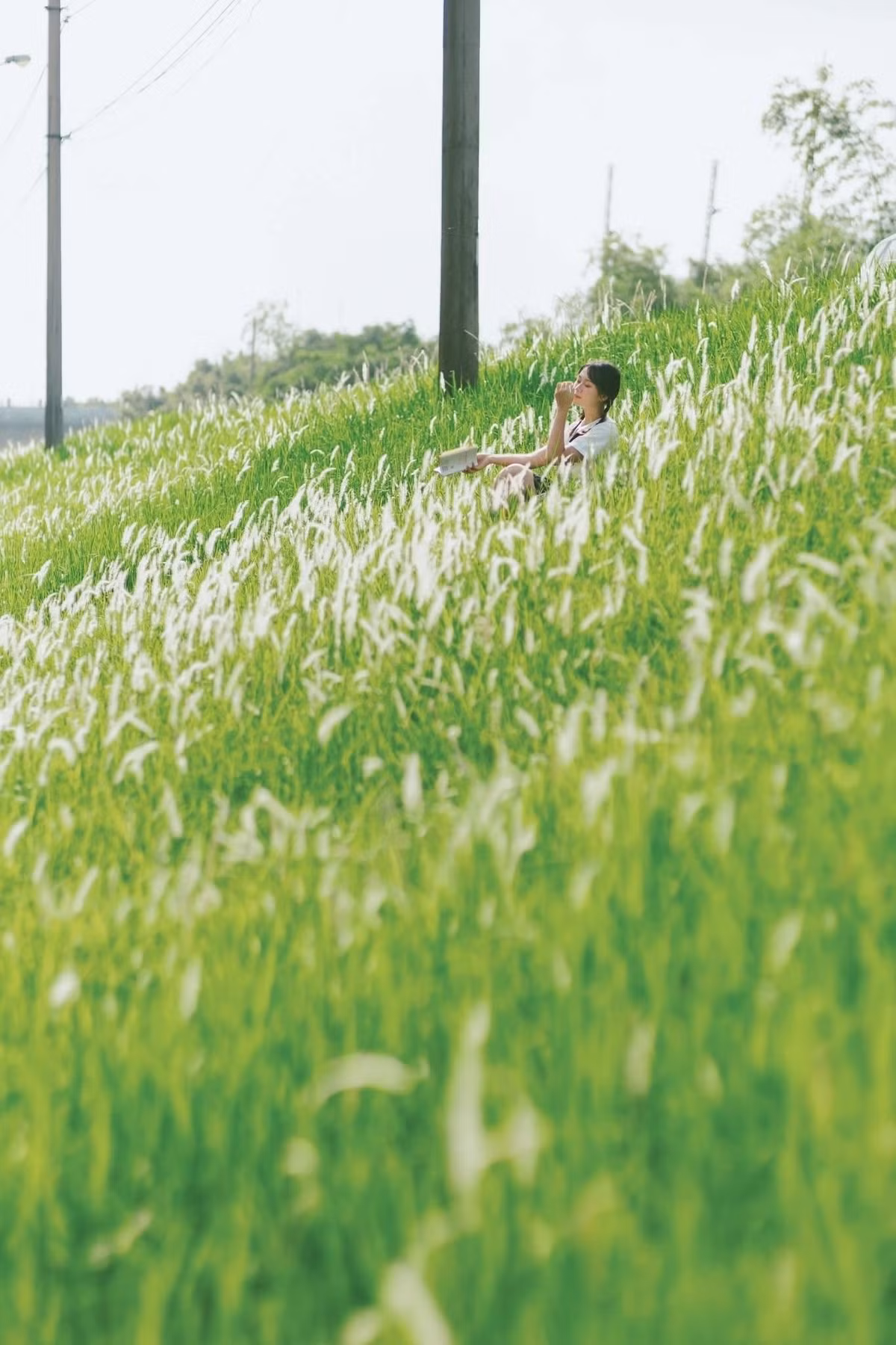 Lưu ý, khu vực này không có bãi gửi xe, do đó du khách cần tự bảo quản tài sản cá nhân. Ảnh Nguyen Hoang Quyen