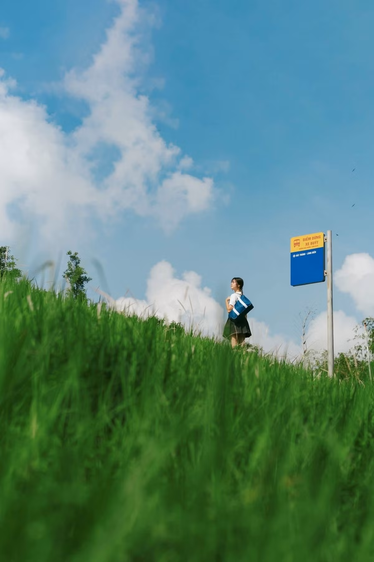 Để tới đê cỏ lau này du khách có thể đi qua cầu Chương Dương, rẽ vào đường ngay chân cầu và đi sâu khoảng 500 mét là tới khu vực có nhiều triền cỏ đẹp. Ảnh Nguyen Hoang Quyen