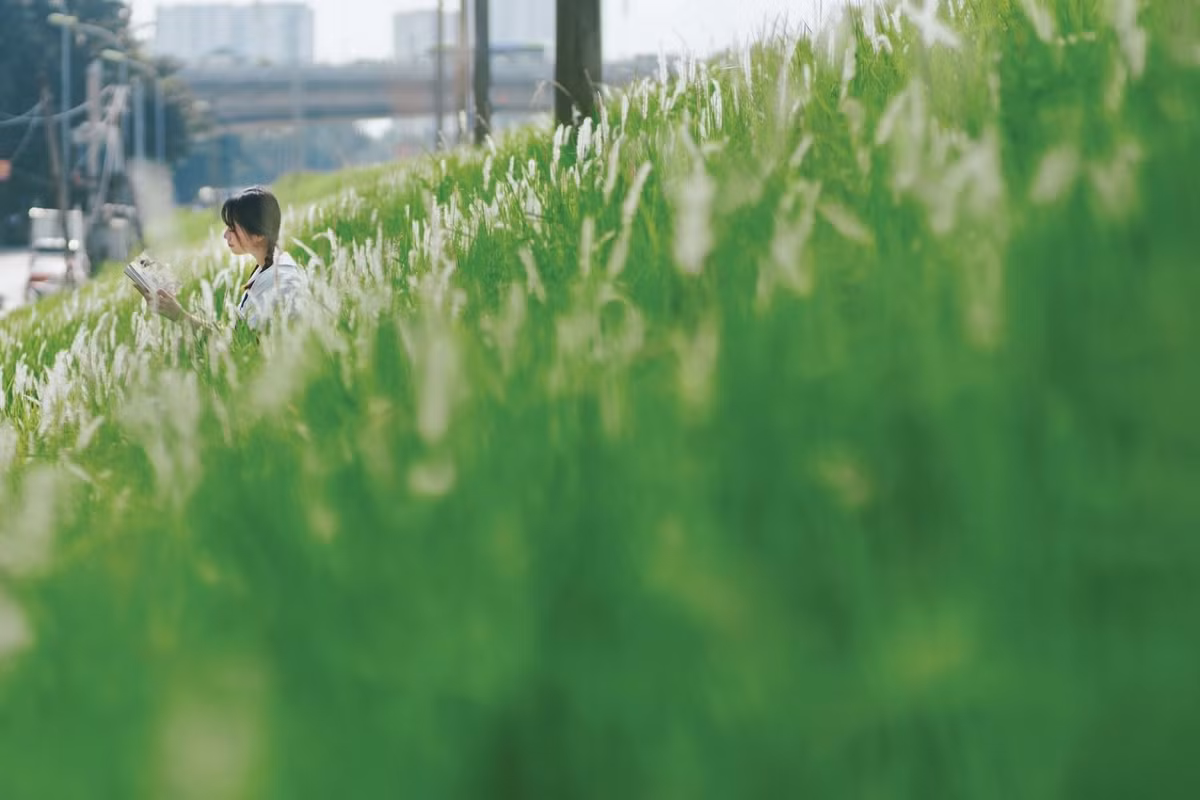 Những chiếc cầu thang bê tông ở giữa đê thuận tiện cho việc đi lại, kết hợp với các trụ đèn đơn giản, tạo nên không gian vừa hiện đại vừa nhẹ nhàng, phù hợp để chụp ảnh. Ảnh Nguyen Hoang Quyen