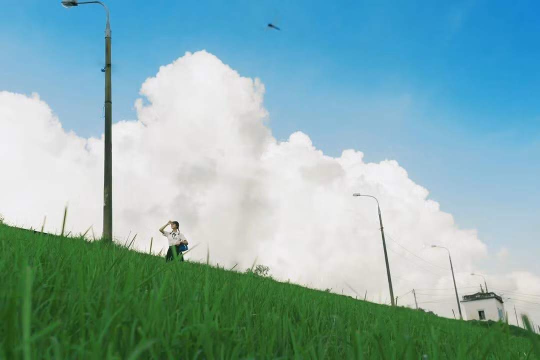 Đê thuộc phường Hồng Hà và Bồ Đề dài khoảng 4 km, hai bên bờ phủ màu xanh mướt của cỏ, tạo thành bức tranh thiên nhiên yên bình hiếm thấy giữa thành phố nhộn nhịp. Ảnh Nguyen Hoang Quyen