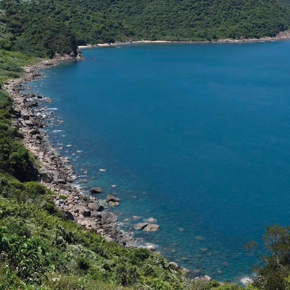 Sơn Trà còn là “lá phổi xanh” của thành phố, nơi cư trú của voọc chà vá chân nâu quý hiếm. Du khách có thể chạy xe máy dọc cung đường uốn lượn ven biển để tận hưởng gió trời, chụp ảnh sống ảo và săn mây từ nhiều góc cao. Buổi sáng và chiều tà là thời điểm lý tưởng để tham quan, vừa tránh nắng gắt, vừa dễ bắt được khung cảnh thơ mộng. Ảnh Trang Đinh